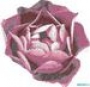 Мозаичное панно Piscine Rosa Rosa